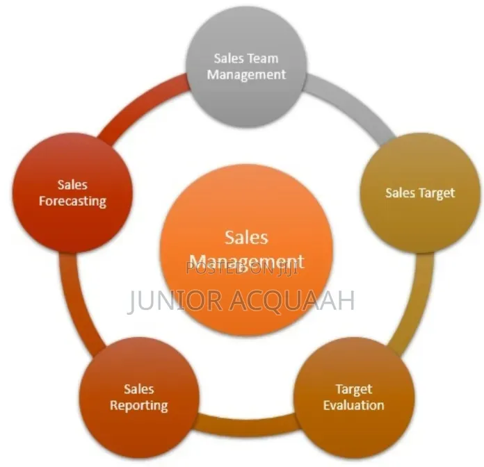 Bachelor of Business and Sales Management