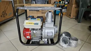 Petrol Water Pump