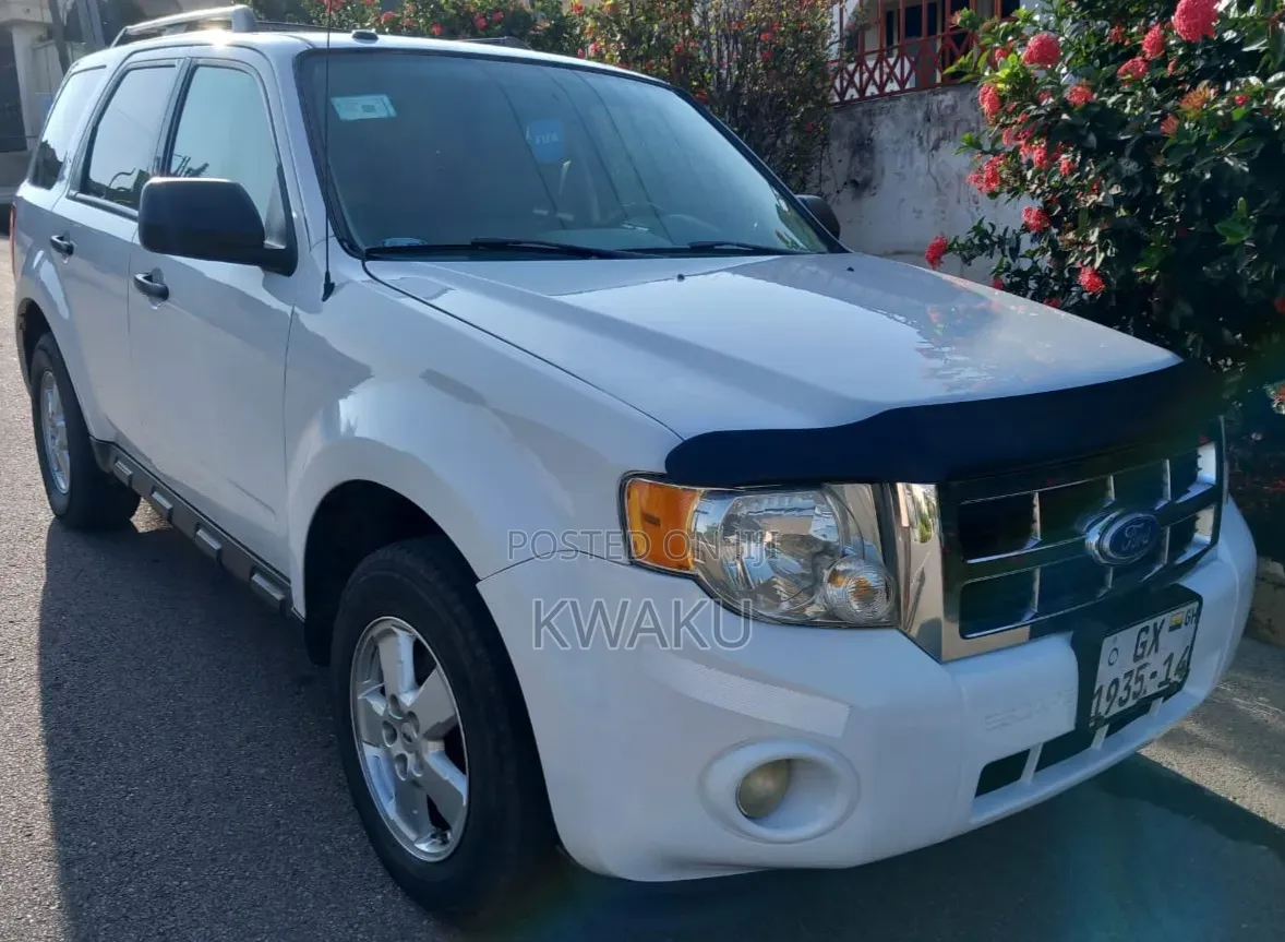 Ford Escape 2010 White