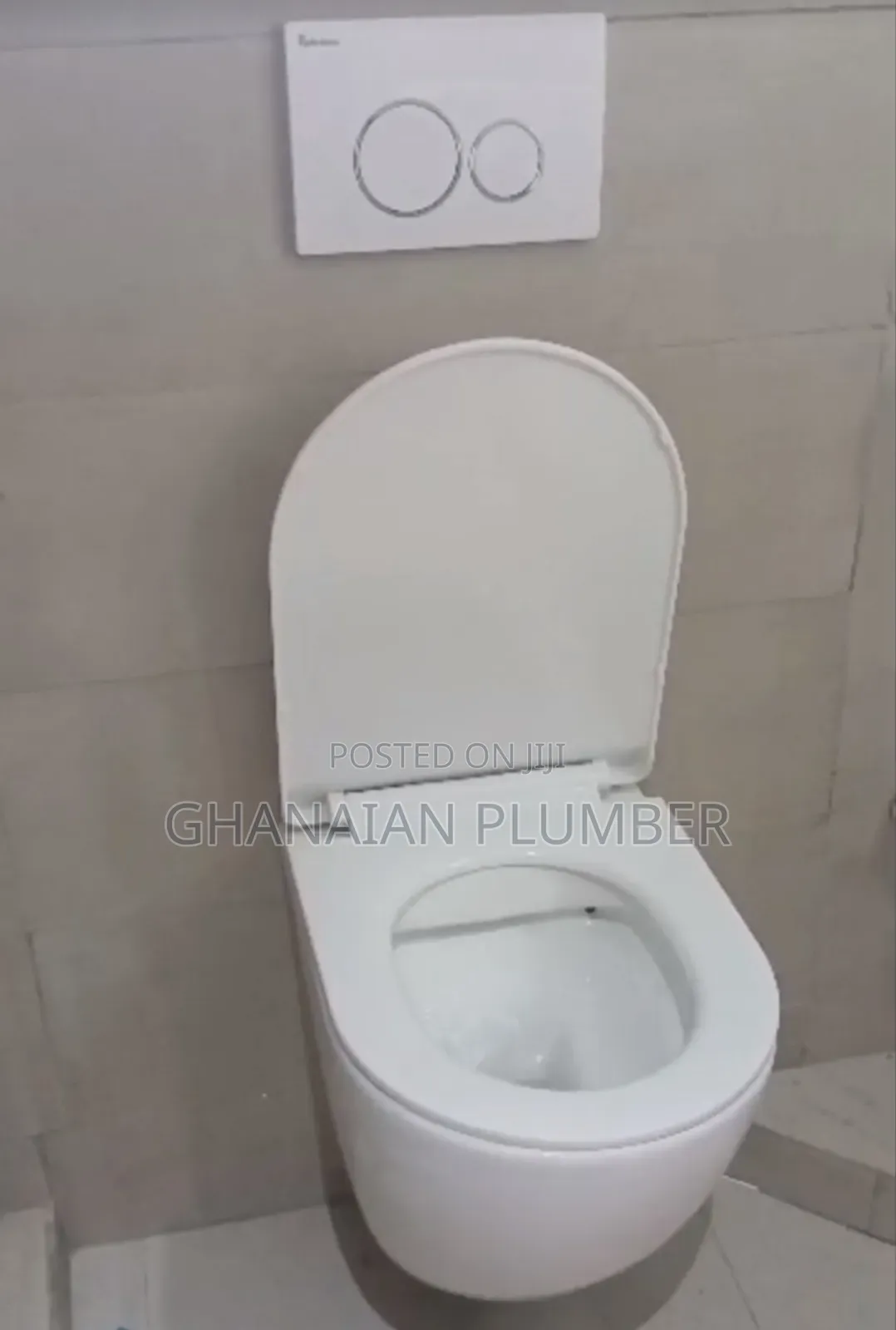 Professional Plumber With Great Expertise
