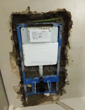 Professional Plumber With Great Expertise