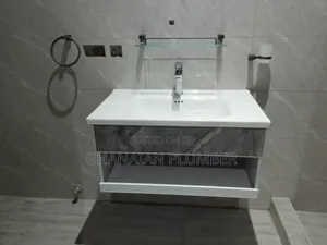 Professional Plumber With Great Expertise