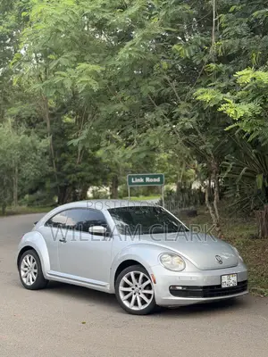 Volkswagen Beetle 1.8T 2dr Hatchback (1.8L 4cyl Turbo 5M) 2015 Gray