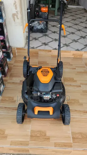 Gasoline Mower 5hp Apsonic Agbon