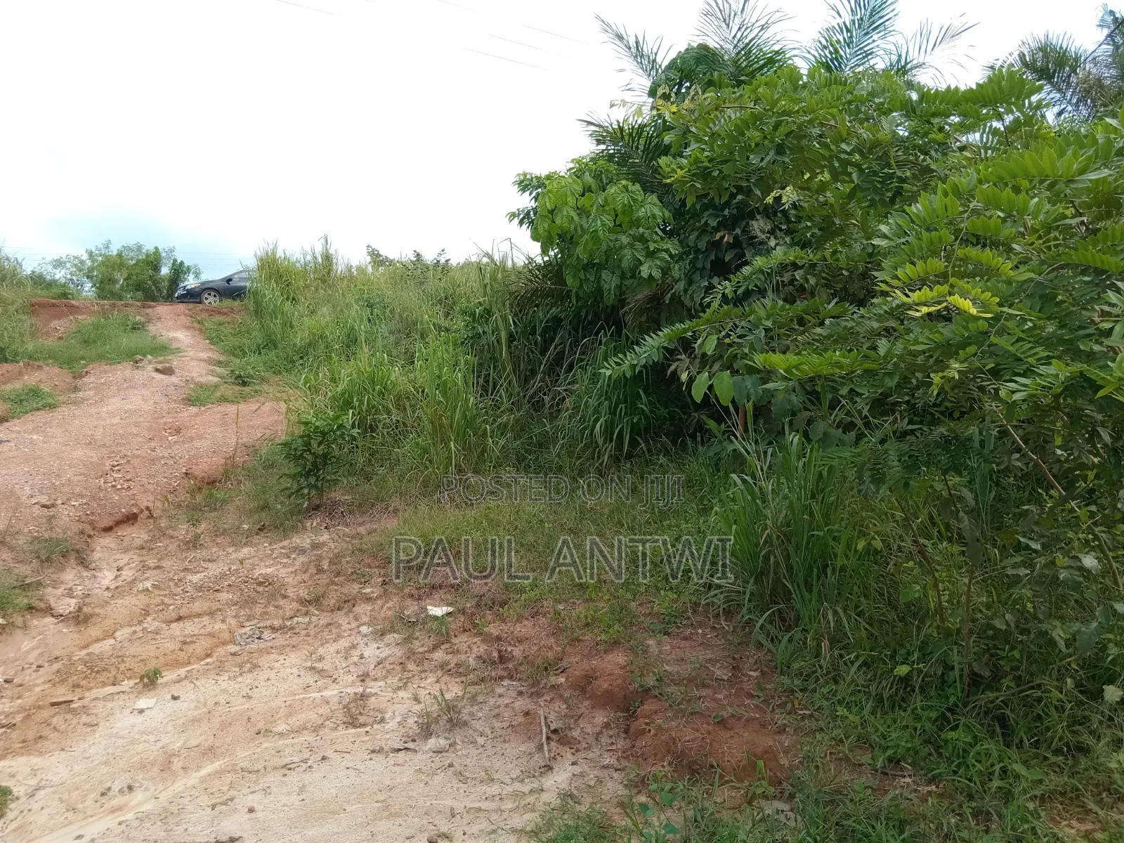 2 Acres of Land