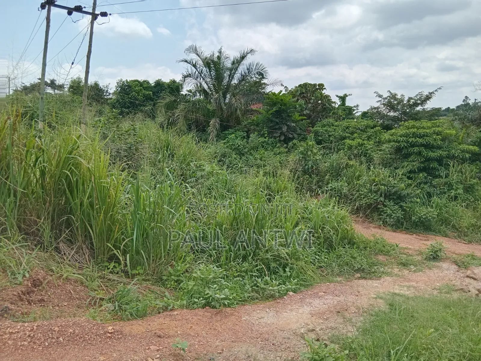2 Acres of Land