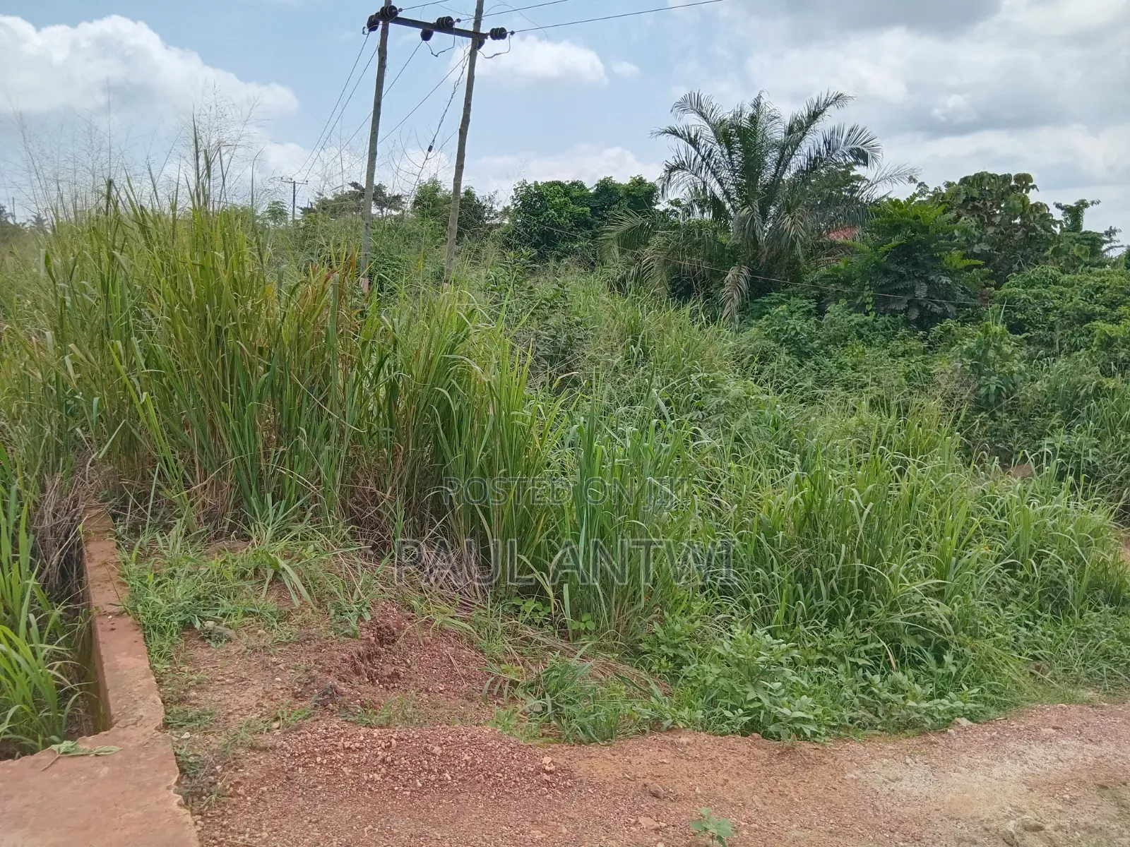 2 Acres of Land
