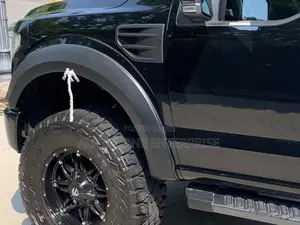 Ford F-150 2017-2025 Fender Flares/Fender Mouldings