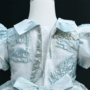 Girls Beautiful Occasion Dress