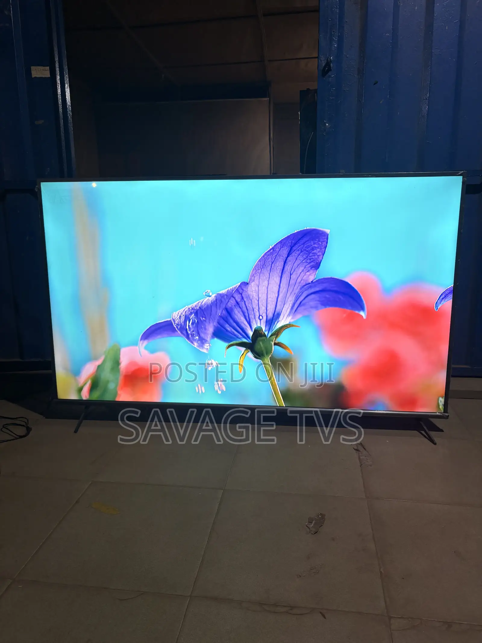 Savage TVS