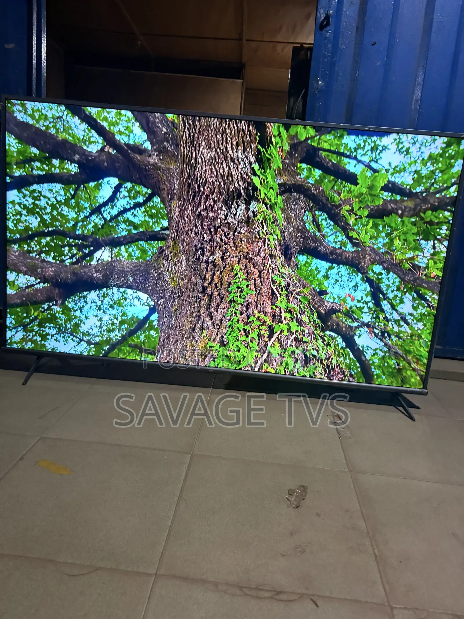 Savage TVS