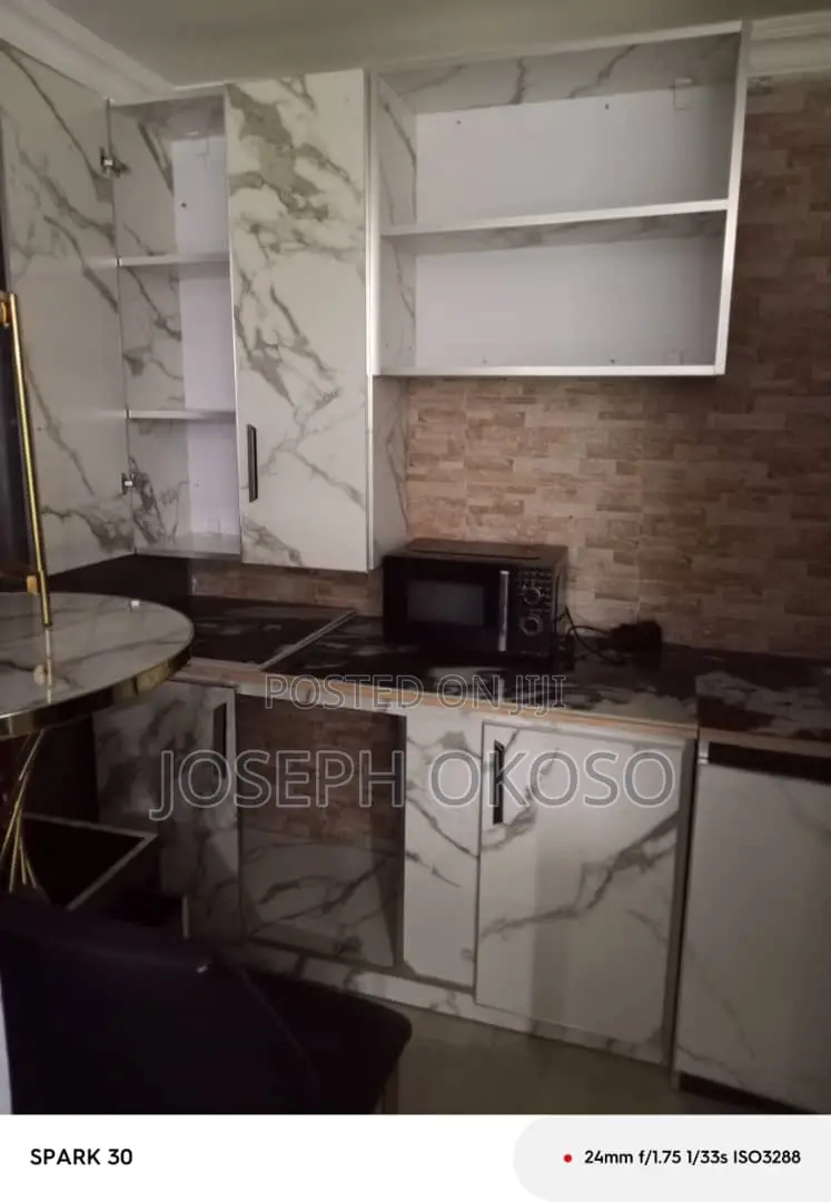 1bdrm Apartment in Little Rock Consult, Dzorwulu for rent