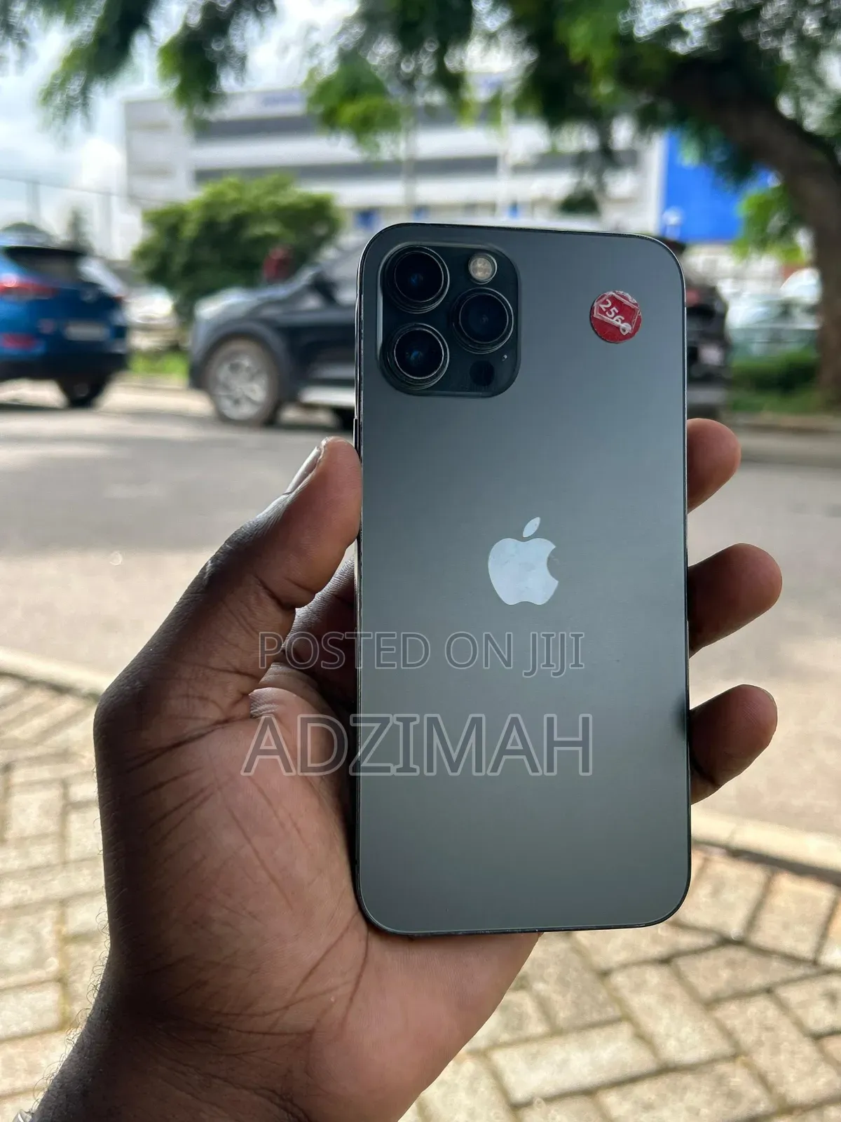 Apple iPhone 12 Pro Max 256 GB Gray