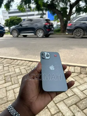 Apple iPhone 12 Pro Max 256 GB Gray