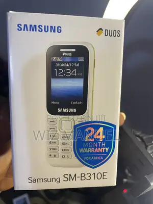New Samsung B310