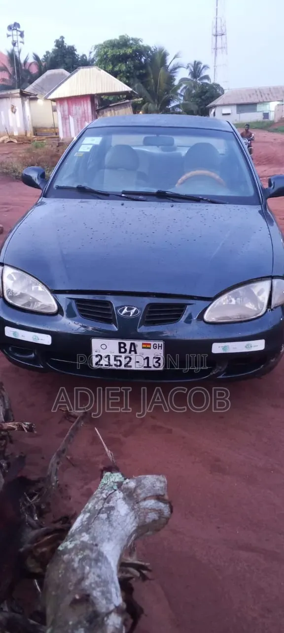 Hyundai Elantra 2001 Blue