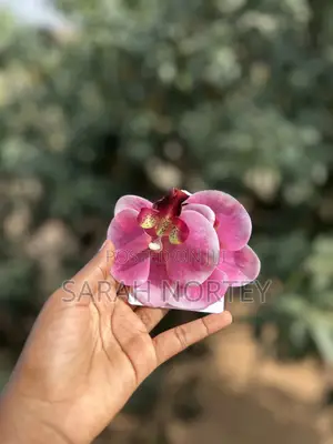 Quality and Affordable Bags and Jewelry