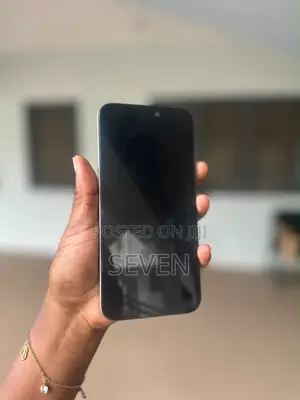 Apple iPhone 15 Pro Max 256 GB Gray