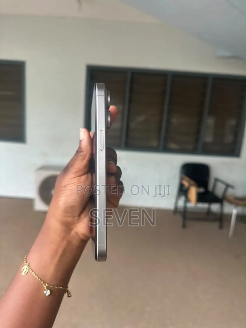 Apple iPhone 15 Pro Max 256 GB Gray