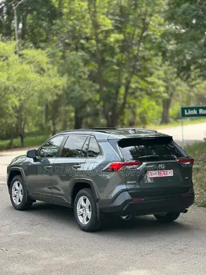 Toyota RAV4 XLE AWD 2019 Gray