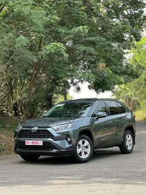 Toyota RAV4 XLE AWD 2019 Gray