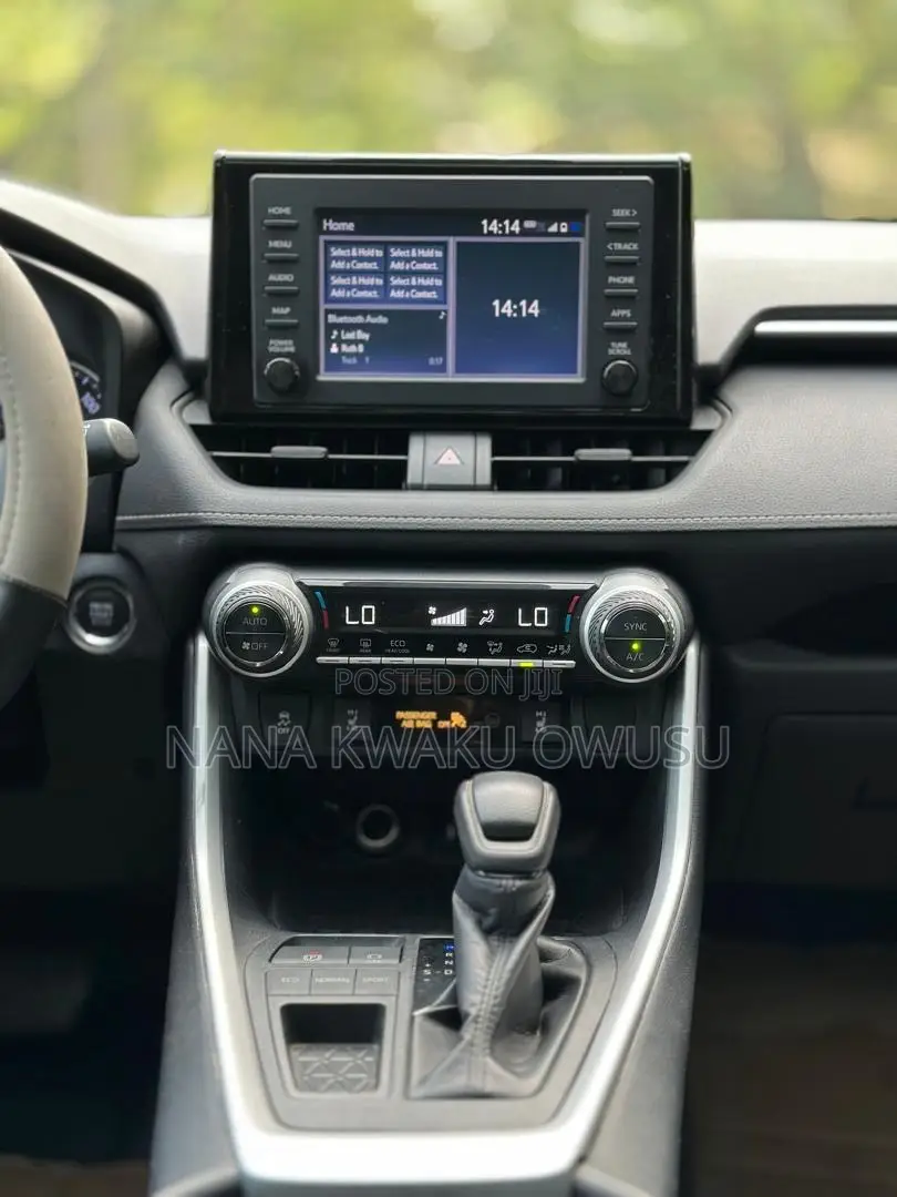 Toyota RAV4 XLE AWD 2019 Gray