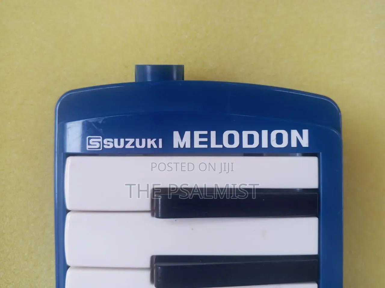 Suzuki Melodia Professional Brand