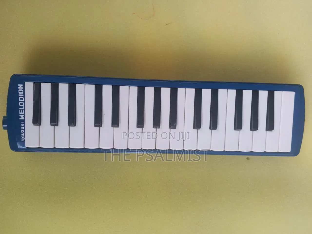 Suzuki Melodia Professional Brand