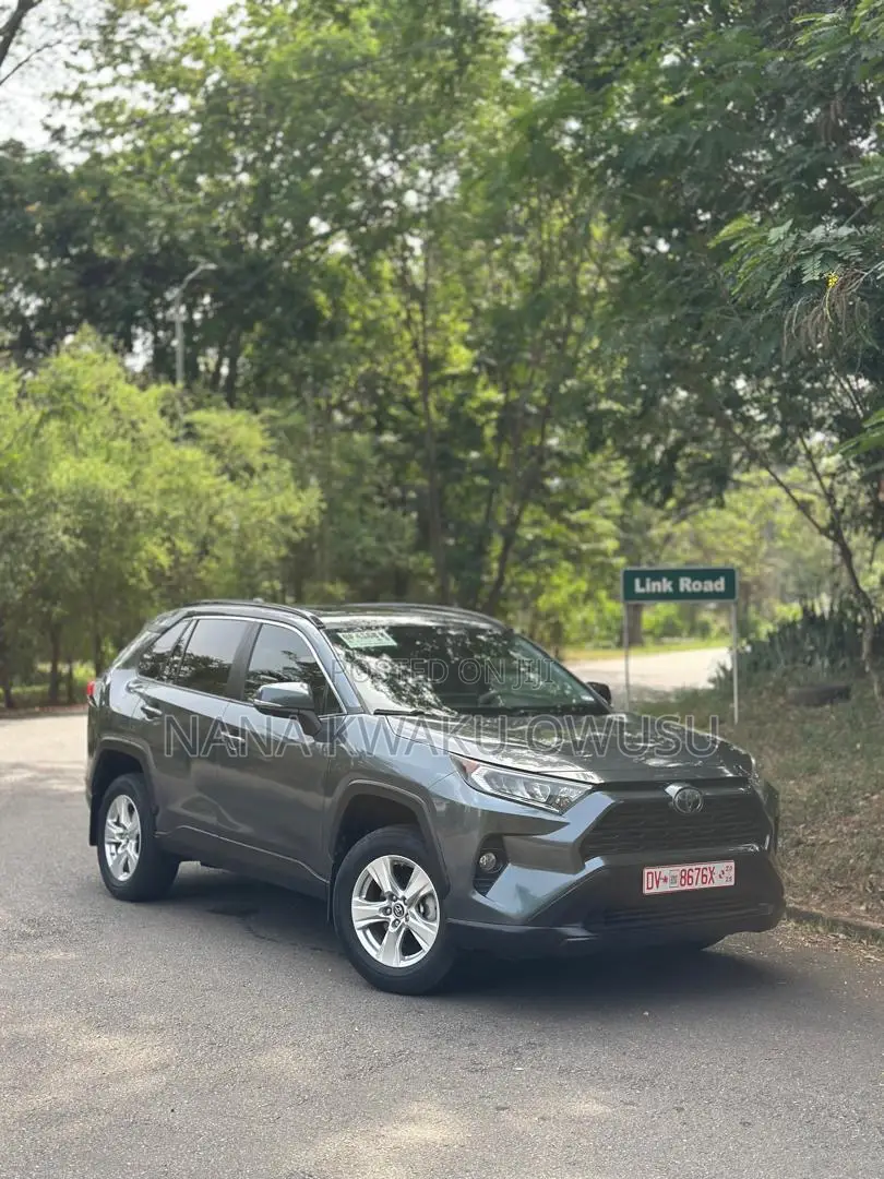 Toyota RAV4 XLE AWD 2019 Gray