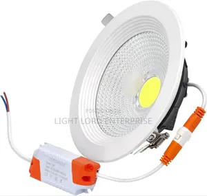 30watts Cob Down Light