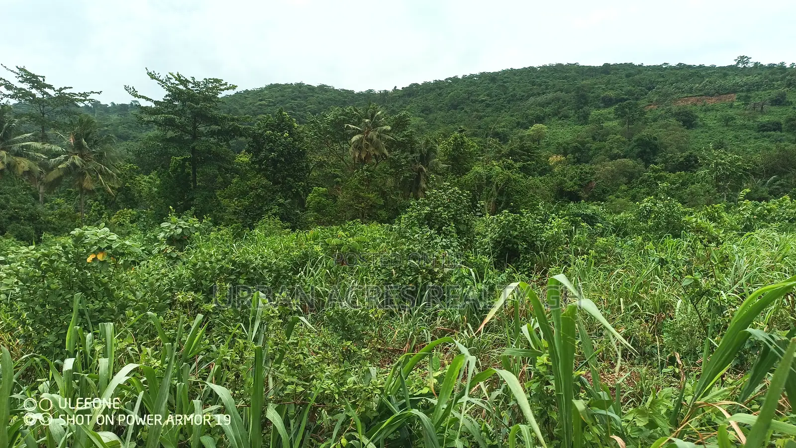 Eastern Regn, Adukrom (Safari Eco Park) _ 50+ Acres Mountain Land