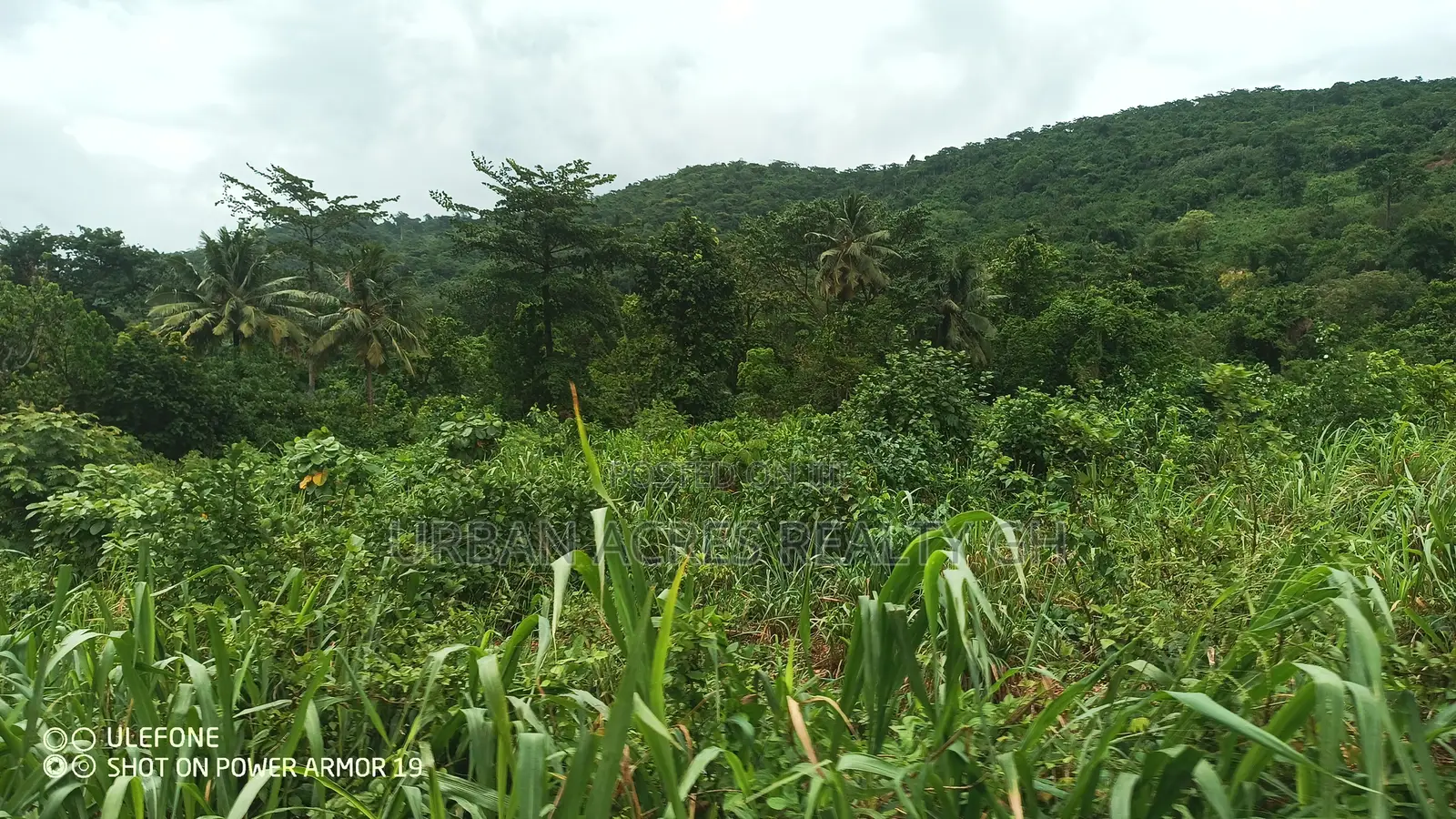 Eastern Regn, Adukrom (Safari Eco Park) _ 50+ Acres Mountain Land