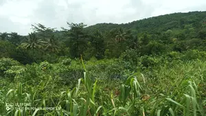 Eastern Regn, Adukrom (Safari Eco Park) _ 50+ Acres Mountain Land