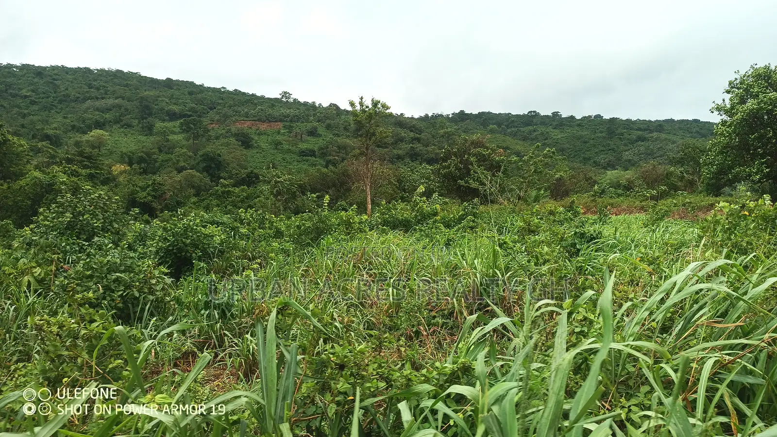Eastern Regn, Adukrom (Safari Eco Park) _ 50+ Acres Mountain Land