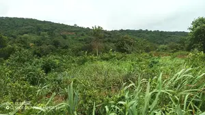 Eastern Regn, Adukrom (Safari Eco Park) _ 50+ Acres Mountain Land