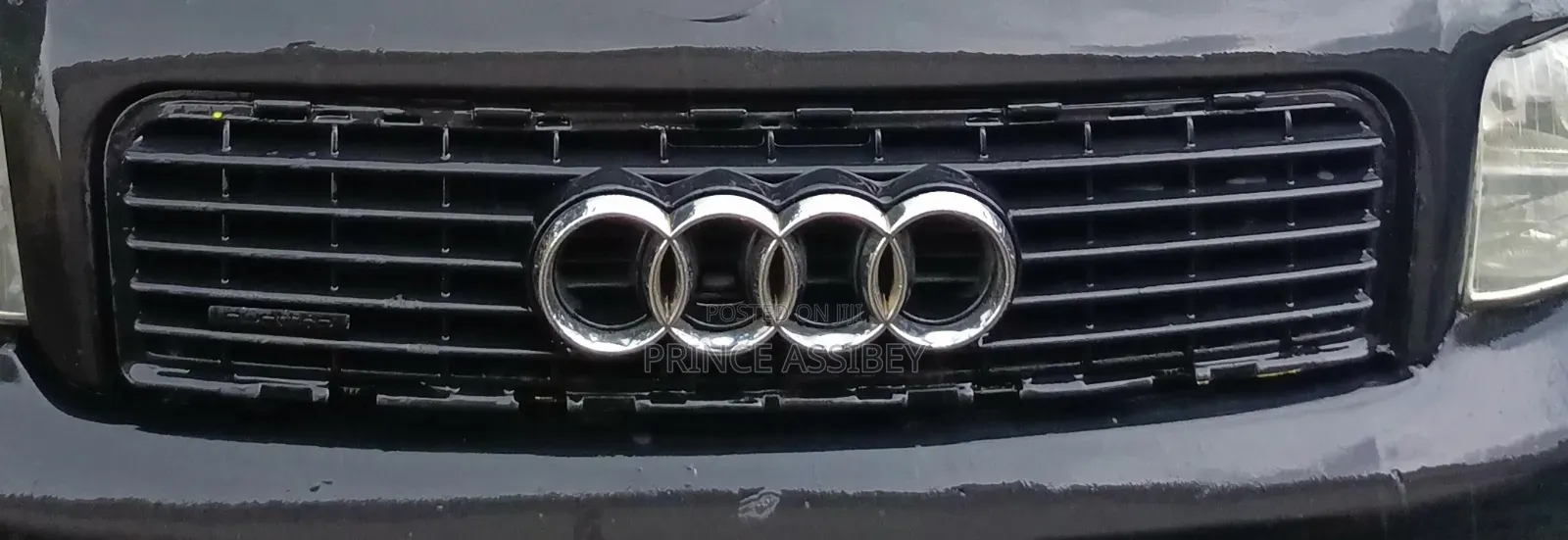 Audi A4 Upper Front Grille With Logo
