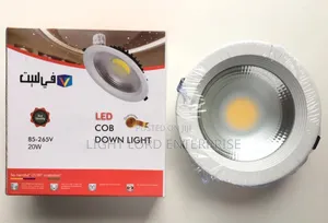 2years Warranty 20watts Cob