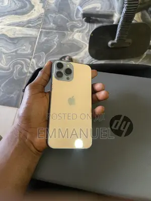 Apple iPhone 13 Pro Max 128 GB Gray