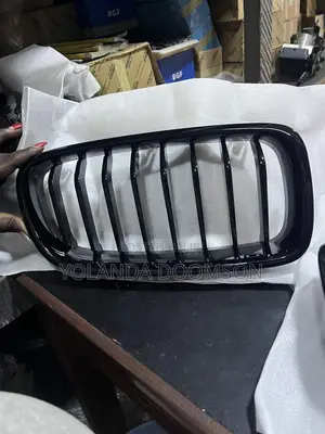 BMW F -30 Grill
