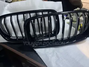 BMW F -30 Grill