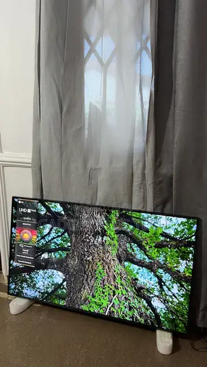 Home Used 2024 55” Lg Thinq Ai Smart Tv
