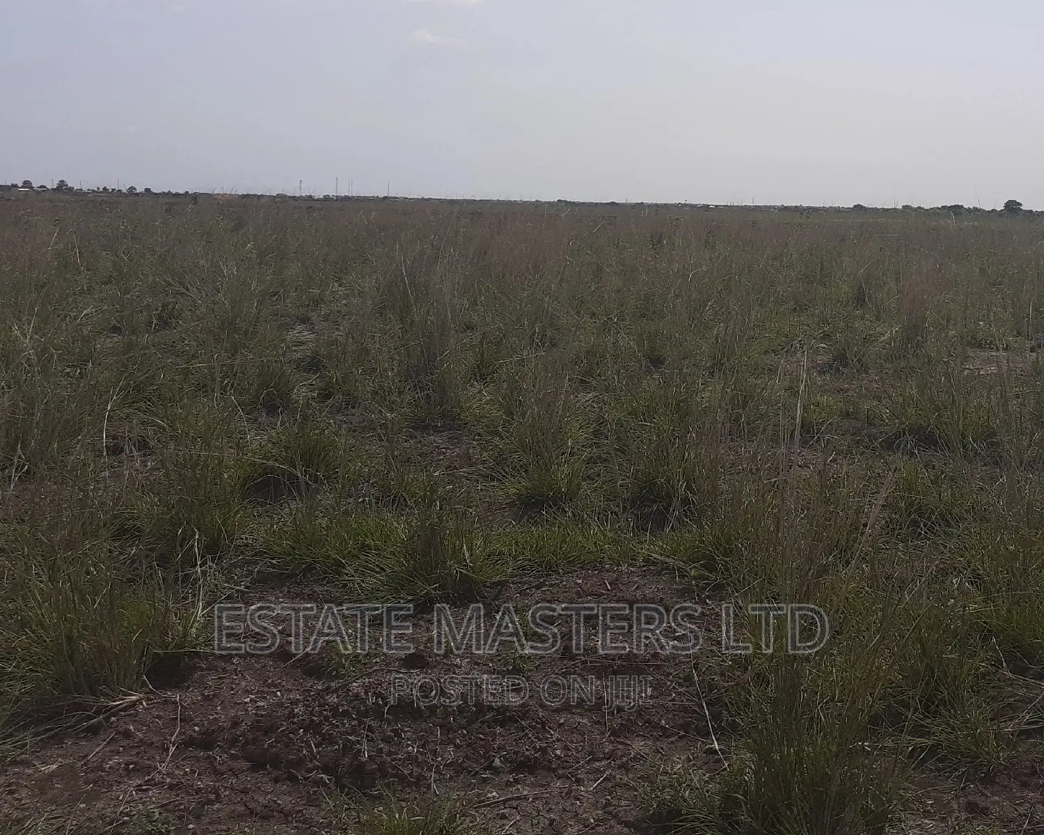 Promo on Registered Estate Plots