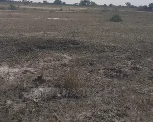 Promo on Registered Estate Plots