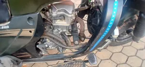 Apsonic AP200ZH-VIP 2025 Green