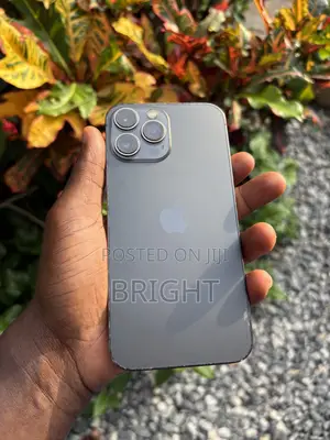 Apple iPhone 13 Pro Max 128 GB Bronze