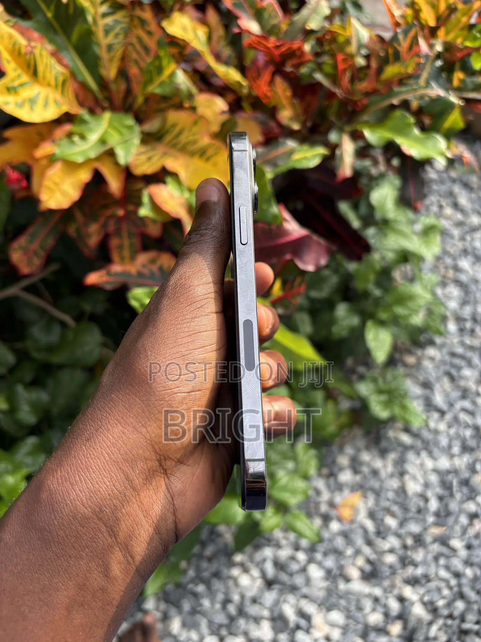 Apple iPhone 13 Pro Max 128 GB Bronze