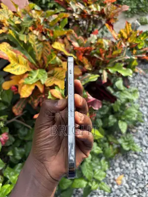 Apple iPhone 13 Pro Max 128 GB Bronze