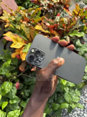 Apple iPhone 13 Pro Max 128 GB Black