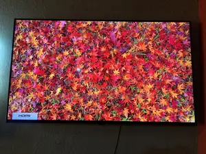 Lg 50 Inch2023 Qned Mini Led TvCrazy Tv With All the Latest Features