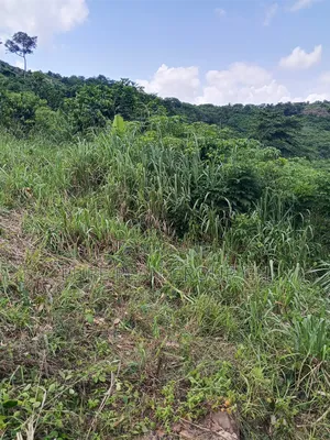 Land for Sale at Pokuase Adusah